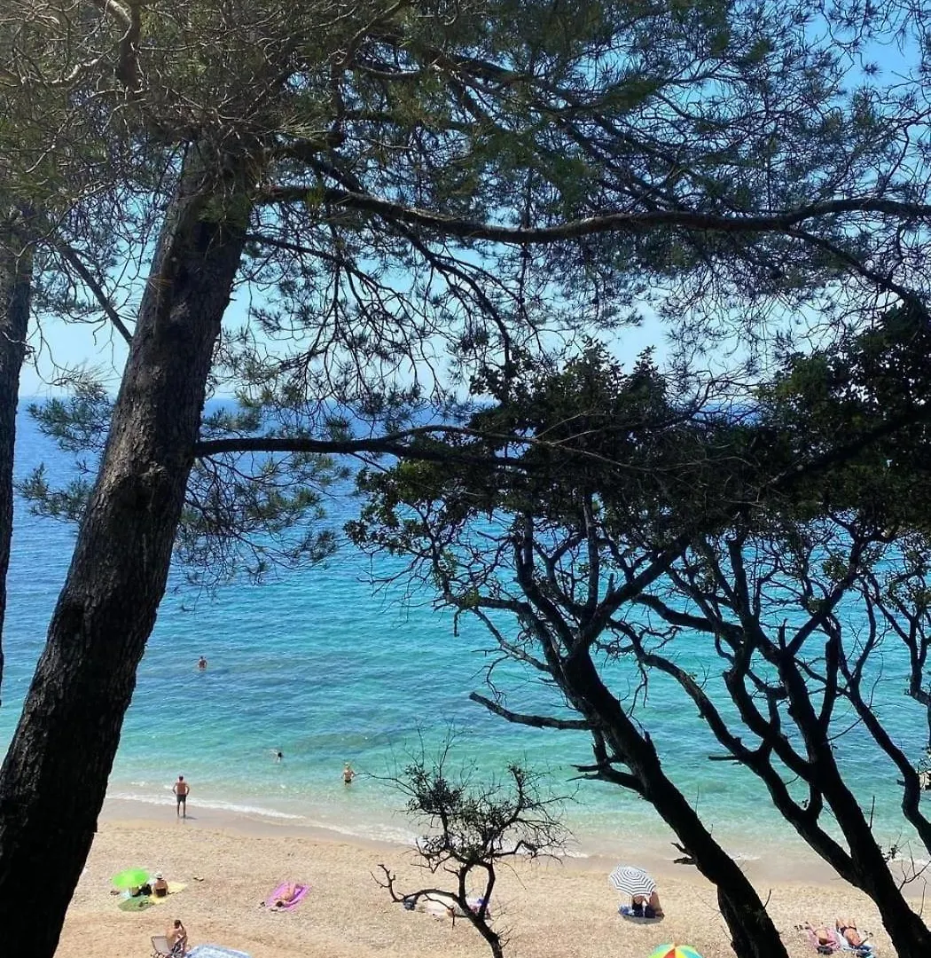 Le Pradet Cosy Beach Apartment, Proximite Plage A Pied 0*, Le Pradet France